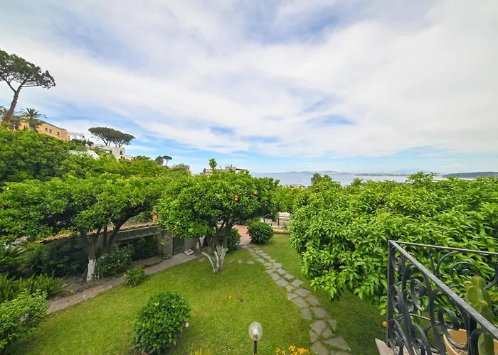 Il Sogno Di Chiara, *